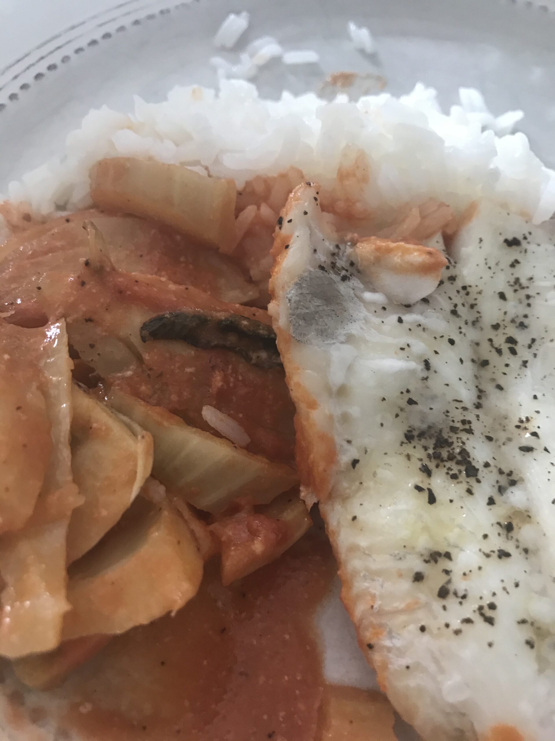 Poisson et fenouil au four