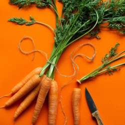 carottes