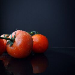 Tomates