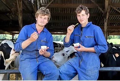 Glace artisanale produite à la ferme