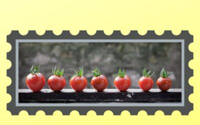 Menu d&rsquo;été – septembre – La rentrée