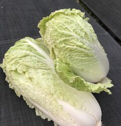 Menu d&rsquo;été – septembre – Le chou chinois