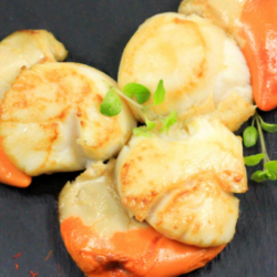 coquille saint jacques