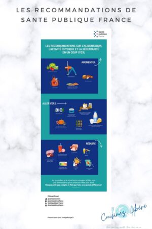 recommandation santé publique France en infographie