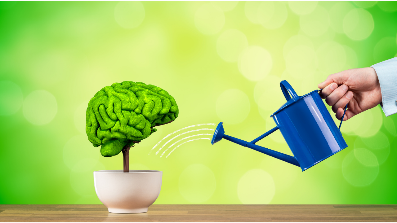 apprendre en permanence