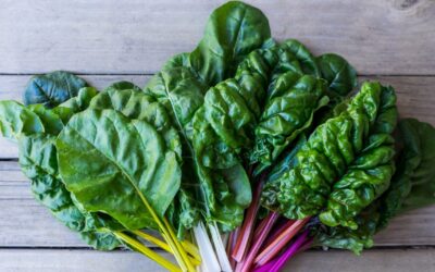 4 menus pour le mois d&rsquo;avril