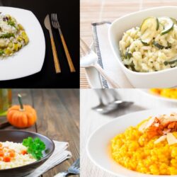 4 saisons du risotto