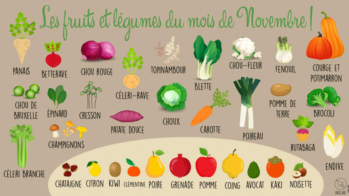 légumes du mois de novembre