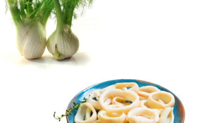 Calamar et fenouil sauce tomates