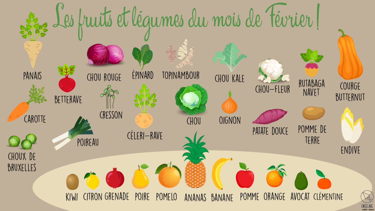 Fruits et légume Février