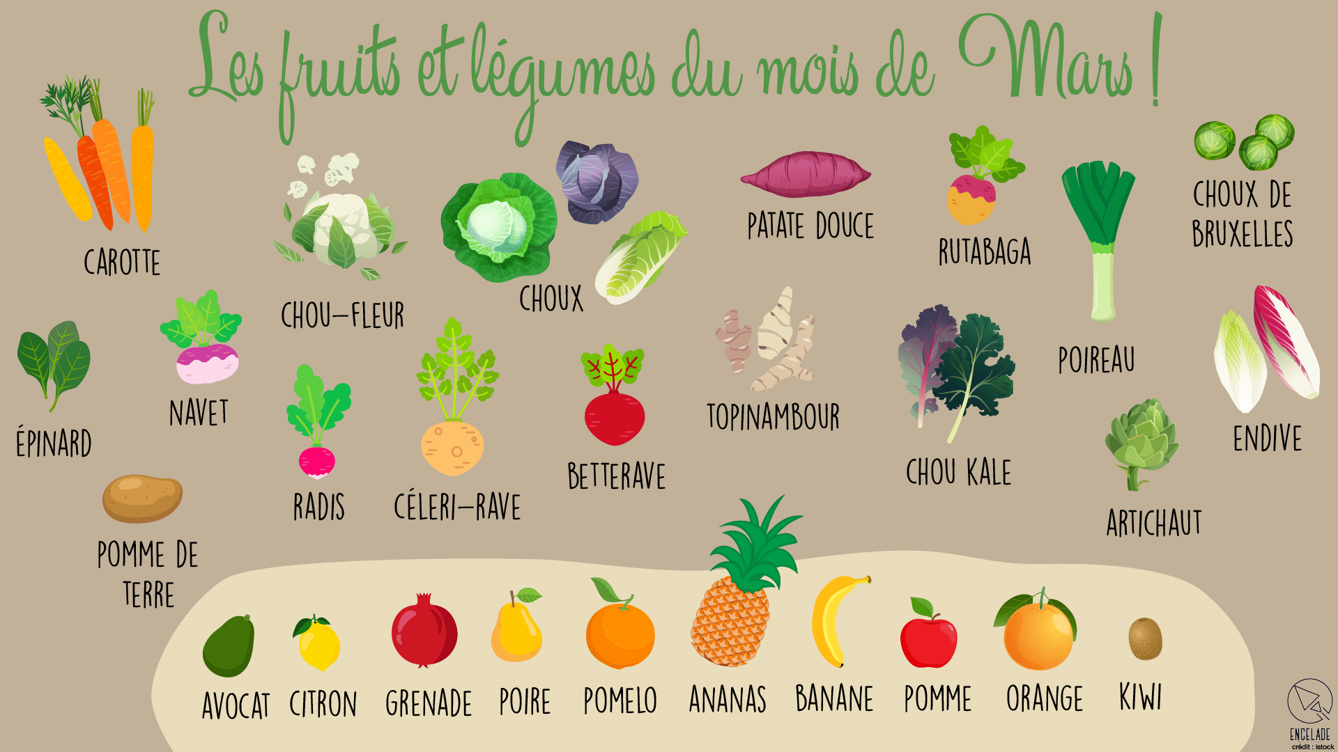 Fruits et légume Février
