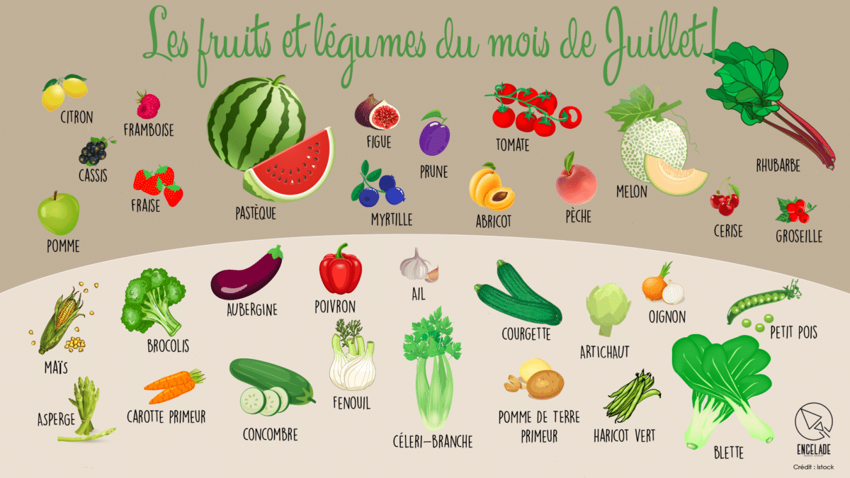 Fruits et légumes juillet