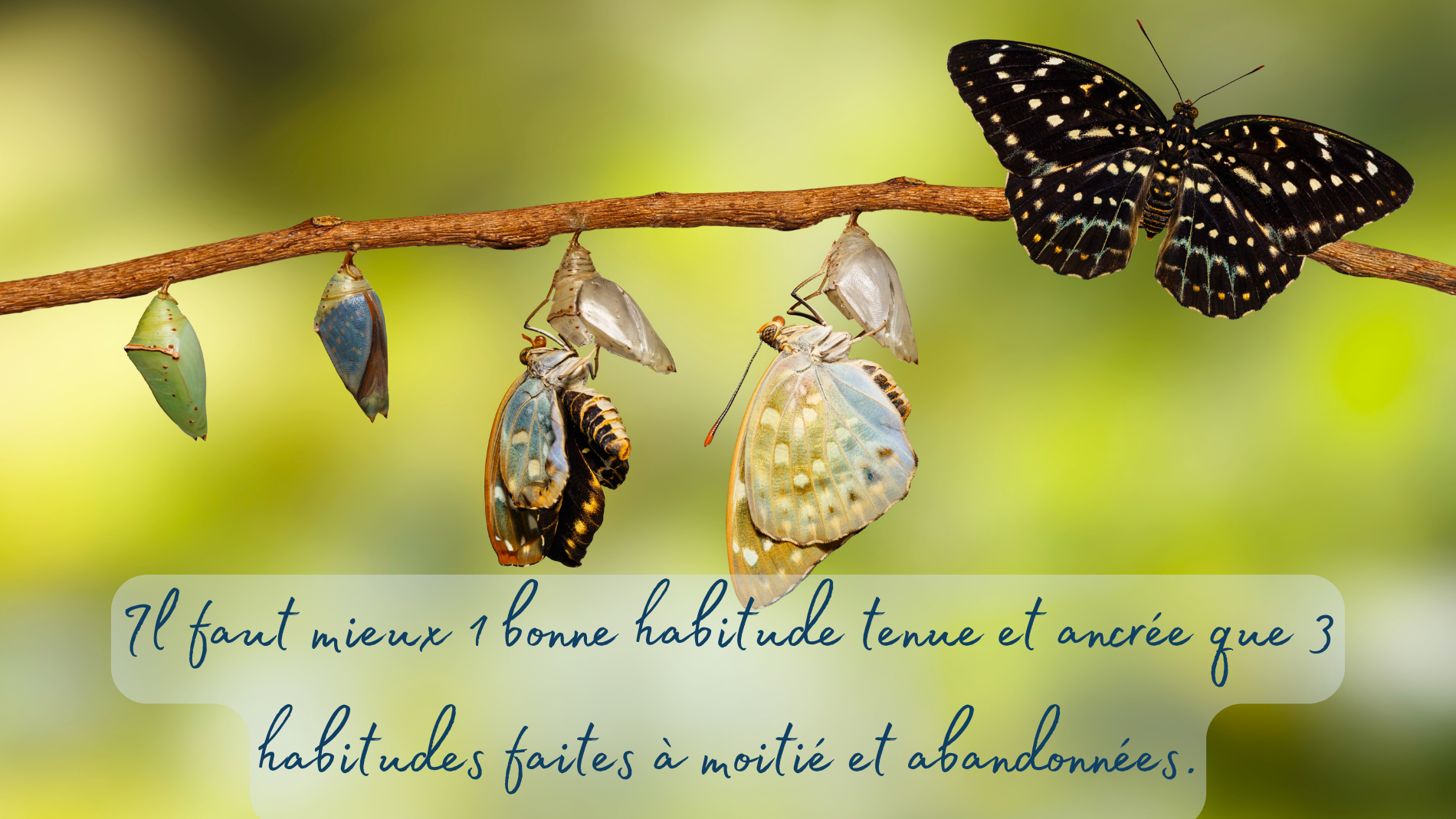 Il faut mieux 1 bonne habitude tenue et ancrée que 3 habitudes faites à moitié et abandonnées.