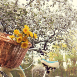 Menu vacances printemps